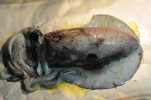 Stuffed Squid In Foil